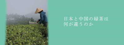 日本と中国の緑茶は何が違うのか