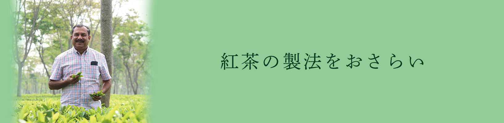 紅茶の製法