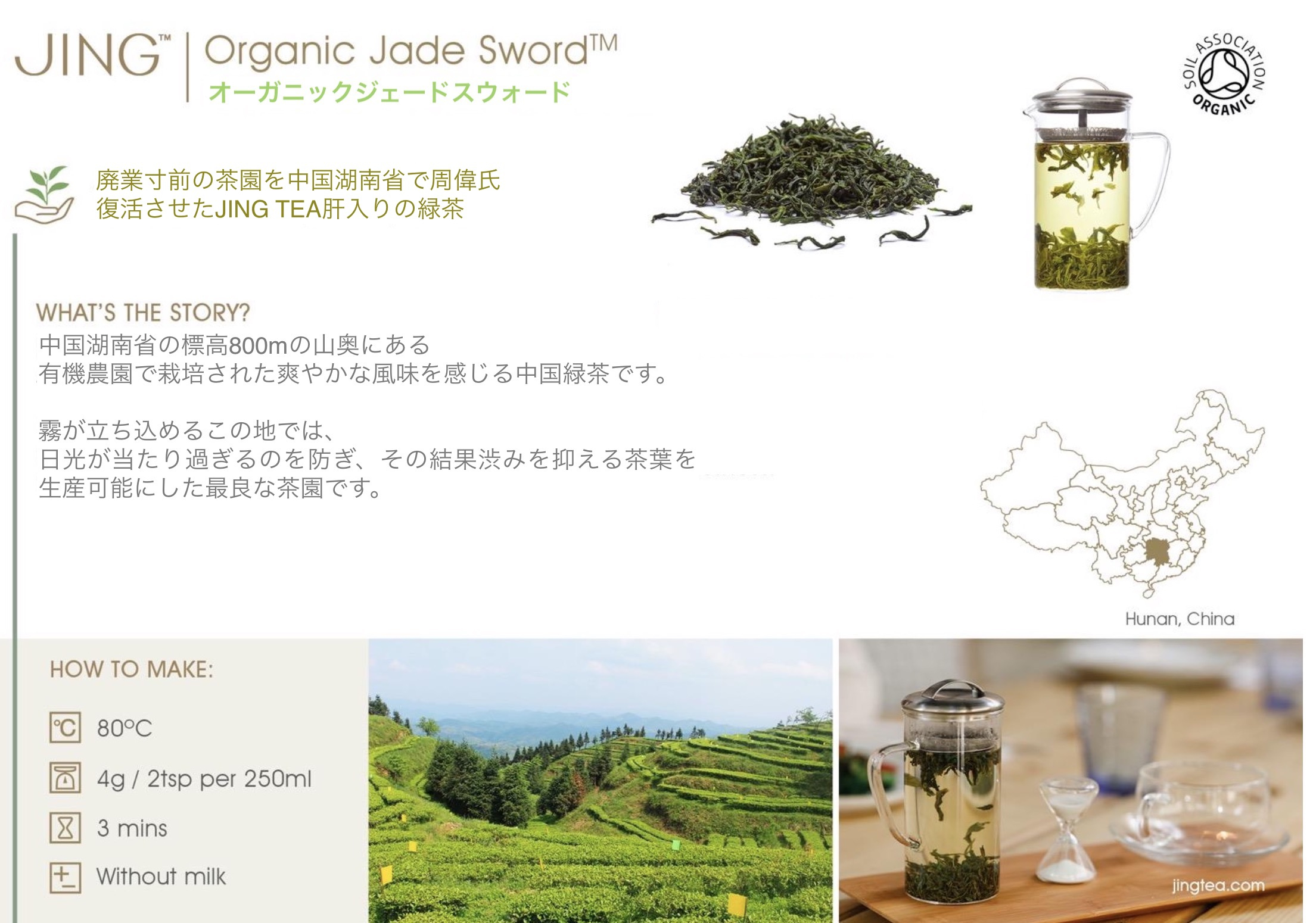 JINGTEA ジンティー ジェードスウォード ティーバッグ 100袋