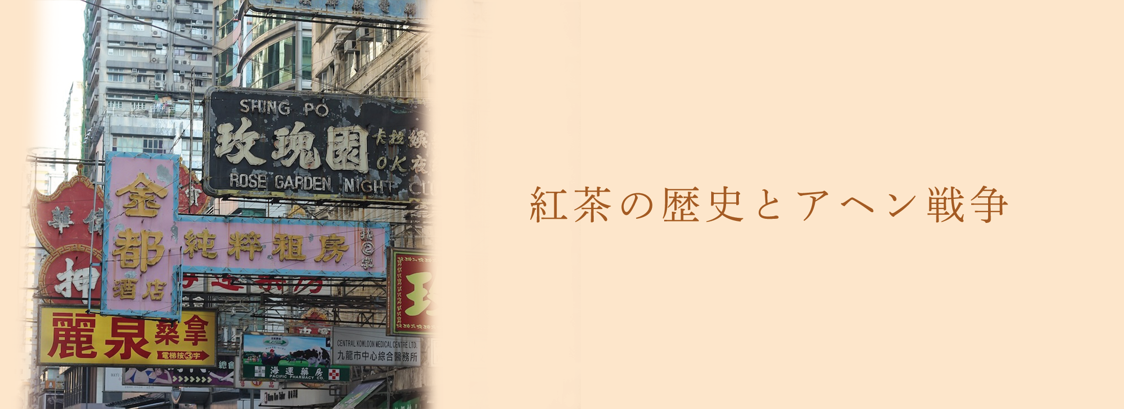 紅茶の歴史とアヘン戦争 | 紅茶通販専門店JING TEA(ジンティー)【公式】
