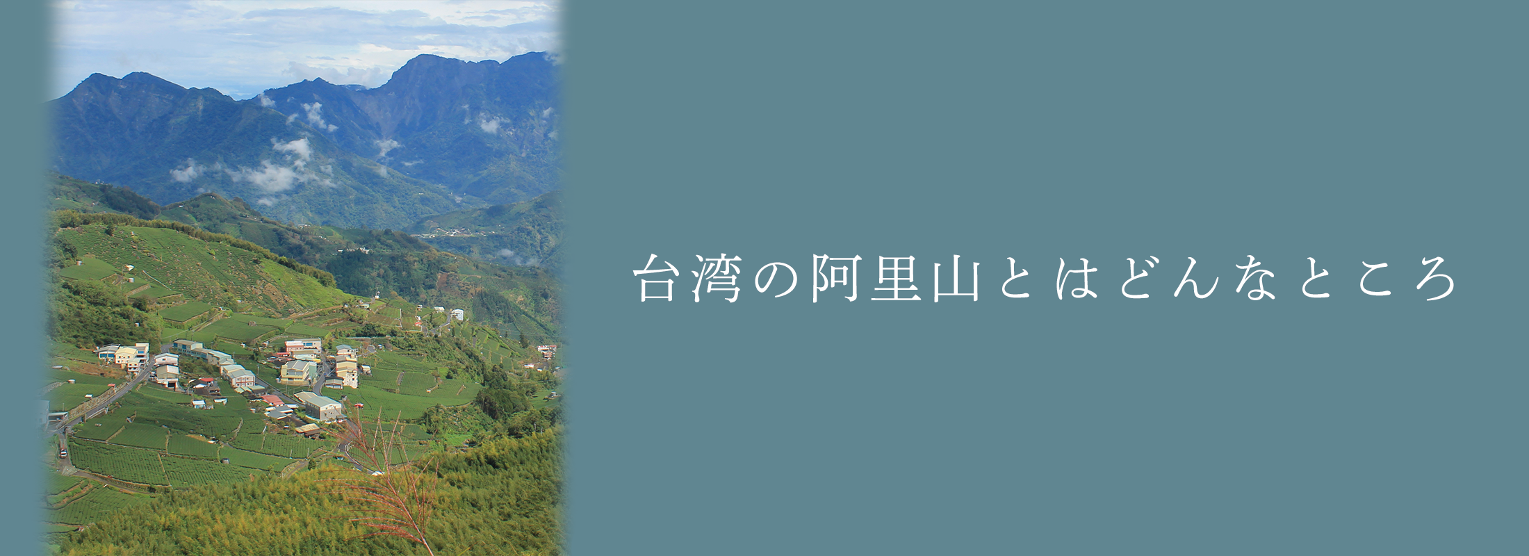 335335c3-7f6a-4a10-a99c-