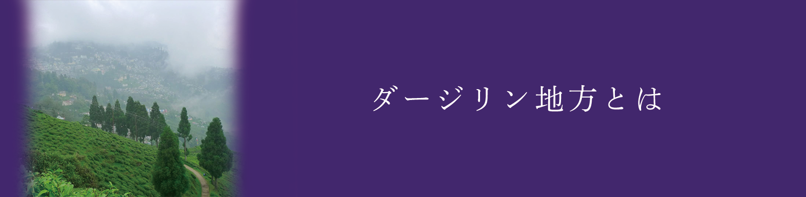 ダージリン地方とは