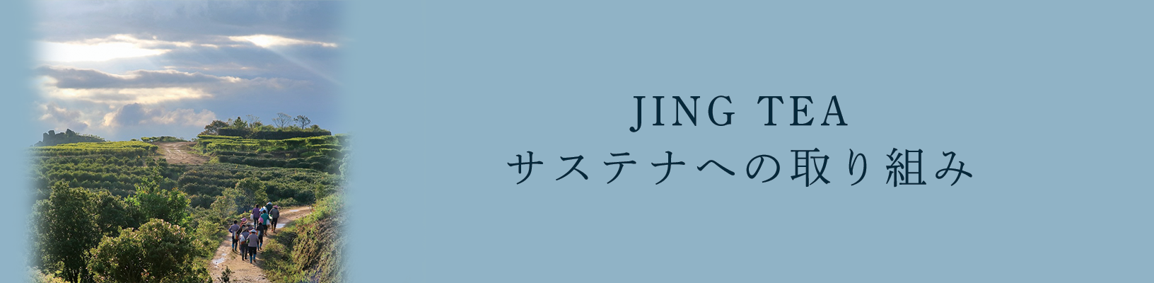 JING TEAのサステナへの取り組み