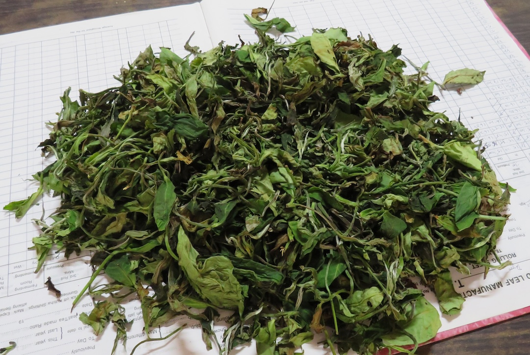 アッサムの茶葉