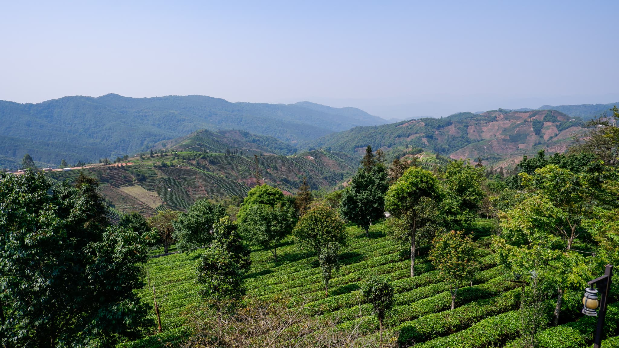 棚田が広がる雲南省