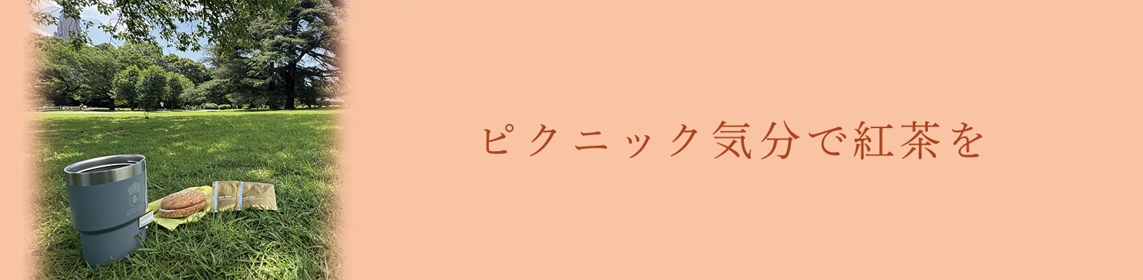 ピクニック気分で紅茶を