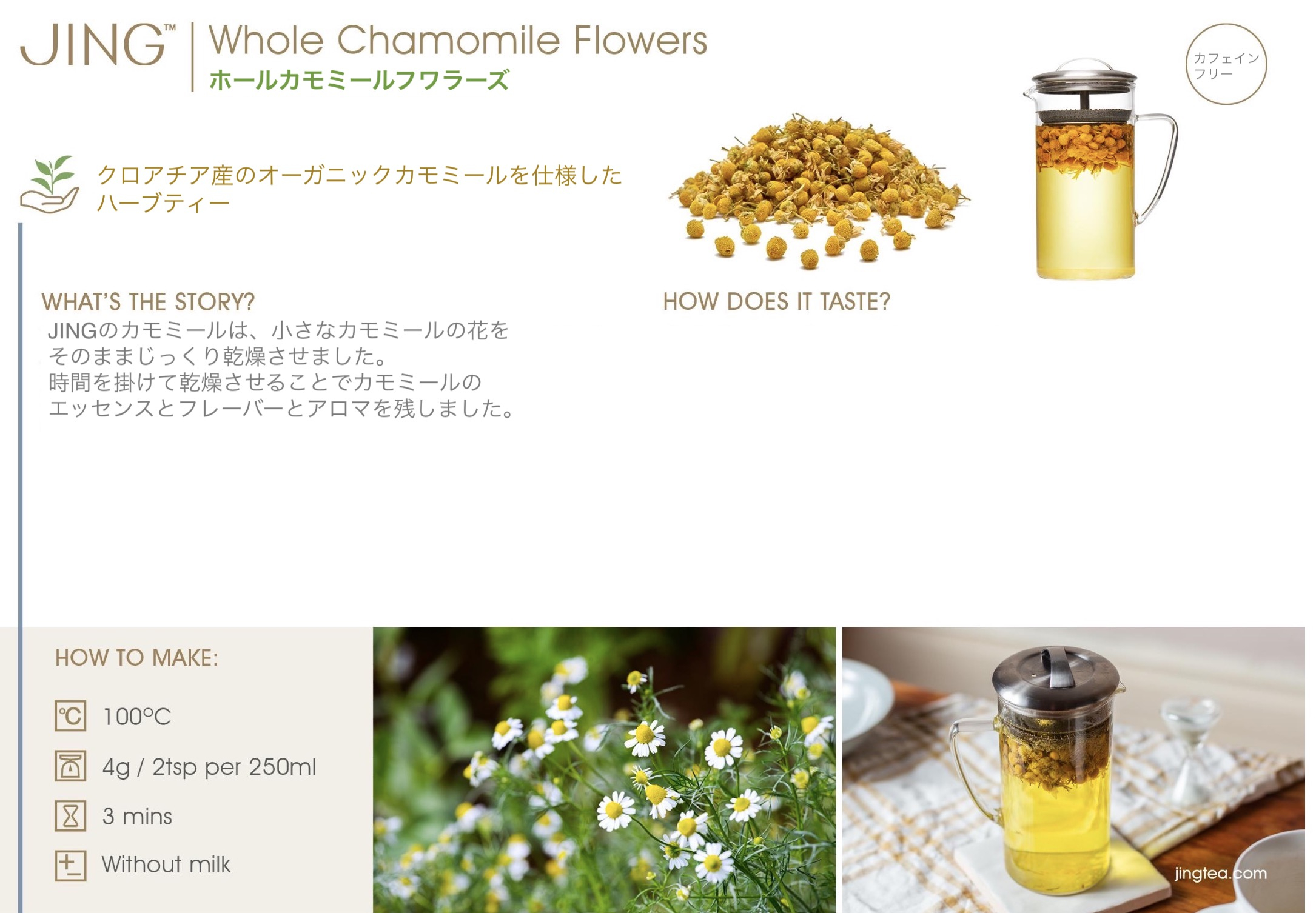 JINGTEA ジンティー カモミール ティーバッグ 25袋