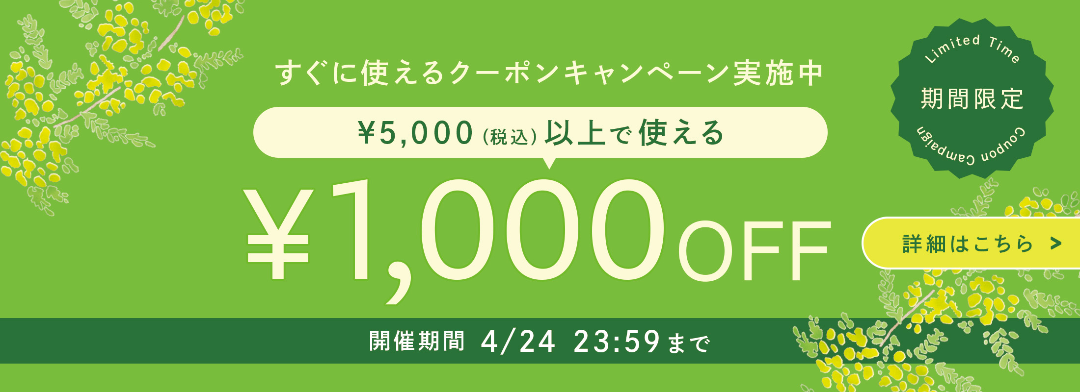 クーポンキャンペーン