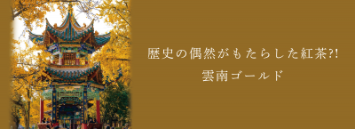 歴史の偶然がもたらした紅茶?!  雲南ゴールド