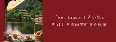 「Red Dragon」赤い龍と呼ばれる雲南省紅茶を検証
