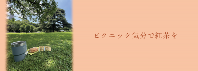 ピクニック気分で紅茶を