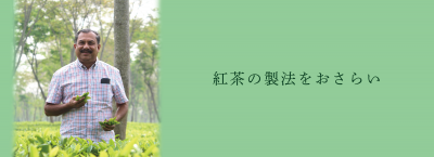 紅茶の製法をおさらい