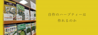 自作のハーブティーは作れるのか