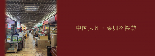 中国広州・深圳を探訪