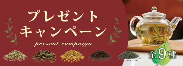 サンプル品の茶葉をプレゼント