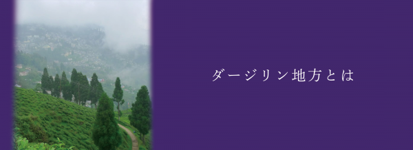 ダージリン地方とは