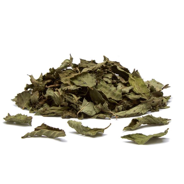 JINGTEA ジンティー ペパーミント ティーバッグ 10袋