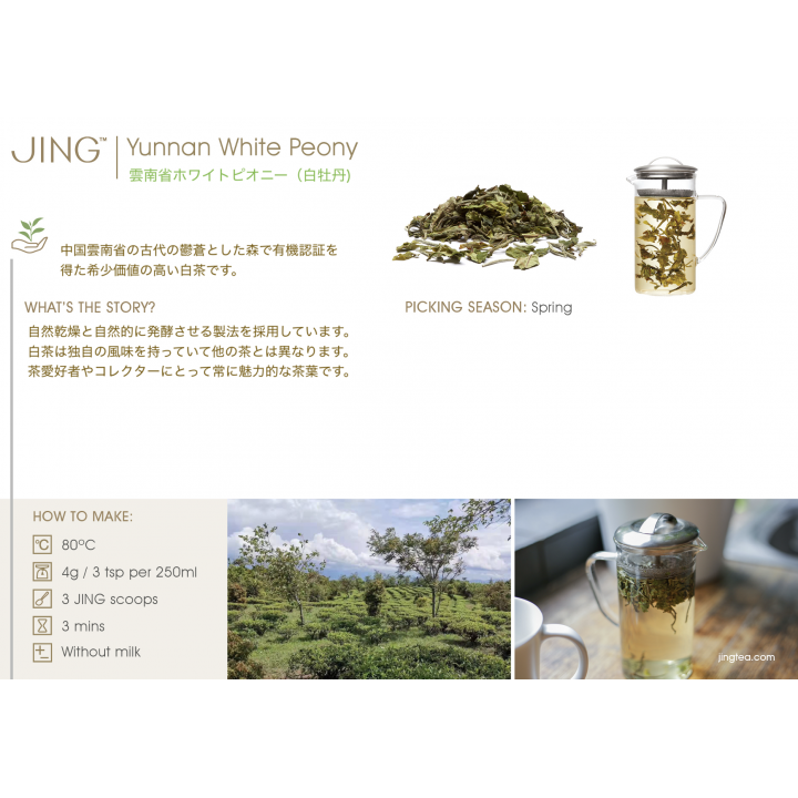 JING TEA ホワイトピオニー(白茶-白牡丹) 100g