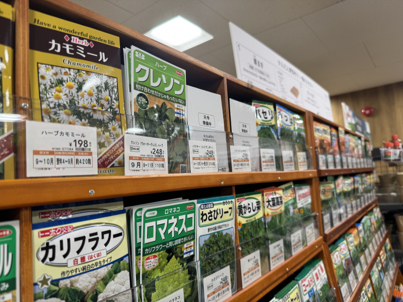 ハーブの育て方 種子から育てる